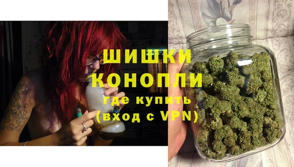 дживик Абинск