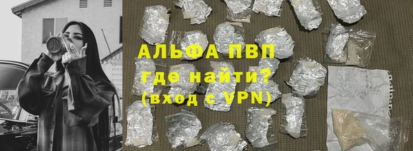 гашик Пестово