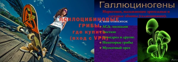 гашик Пестово