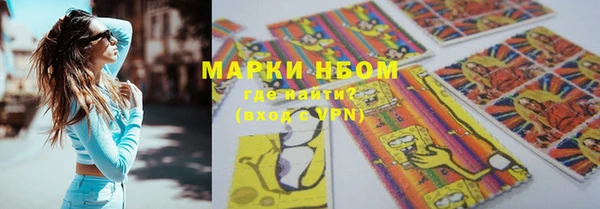 гашик Пестово