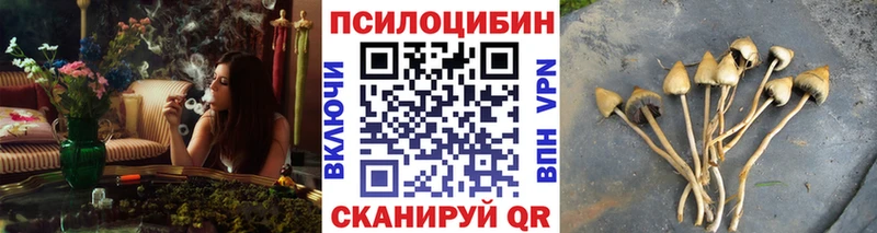 кракен ONION как найти наркотики Кировград Псилоцибиновые грибы ЛСД